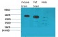 CCKBR Polyclonal Antibody